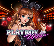 Playboy Wilds